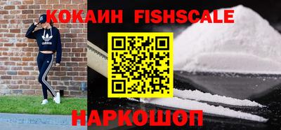 МДПВ Кингисепп