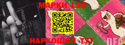 МДПВ Кингисепп