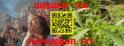 МДПВ Кингисепп