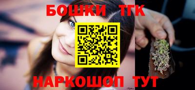 МДПВ Кингисепп