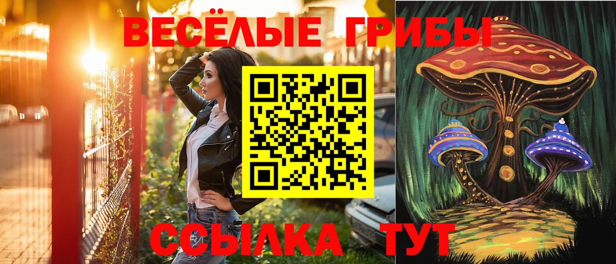 Тихвин  Псилоцибиновые грибы Psilocybine cubensis  Галлюциногенные грибы прущие грибы  Вход с VPN 